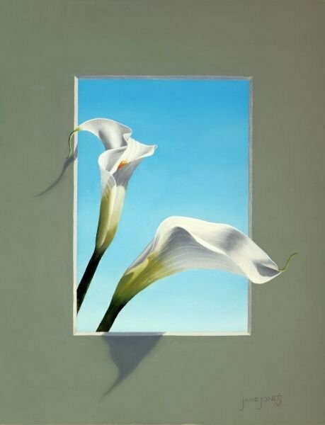 Calla Lily Trompe L'Oeil 1