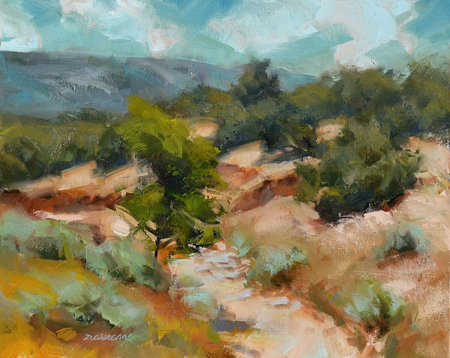 Arroyo, New Mexico