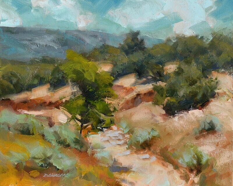 Arroyo, New Mexico
