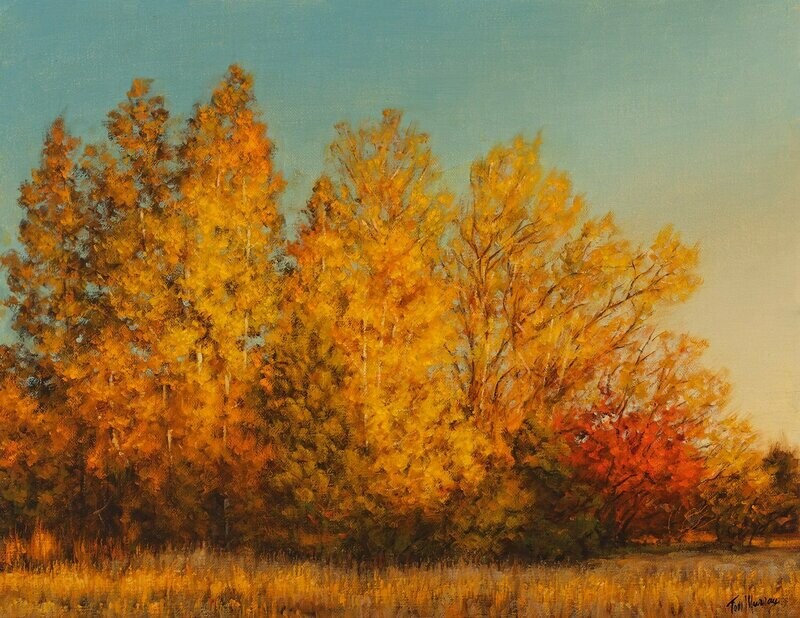 The Colors of Autumn