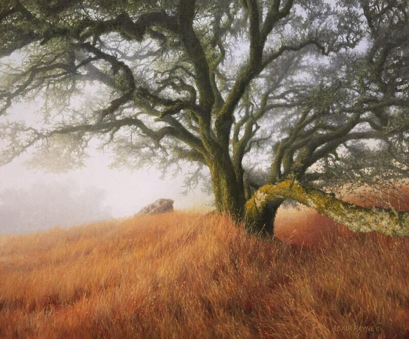 Misty Dawn