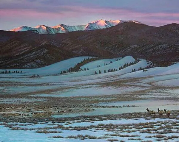 Winter Elk Songwriters