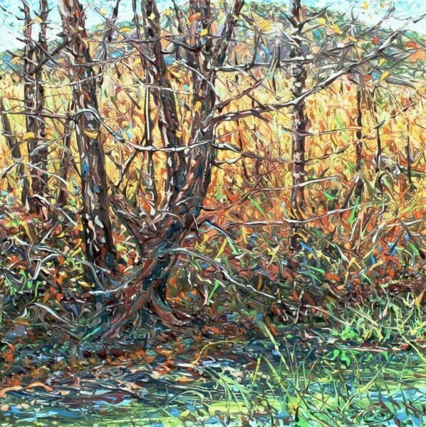 Quiescent Creekside