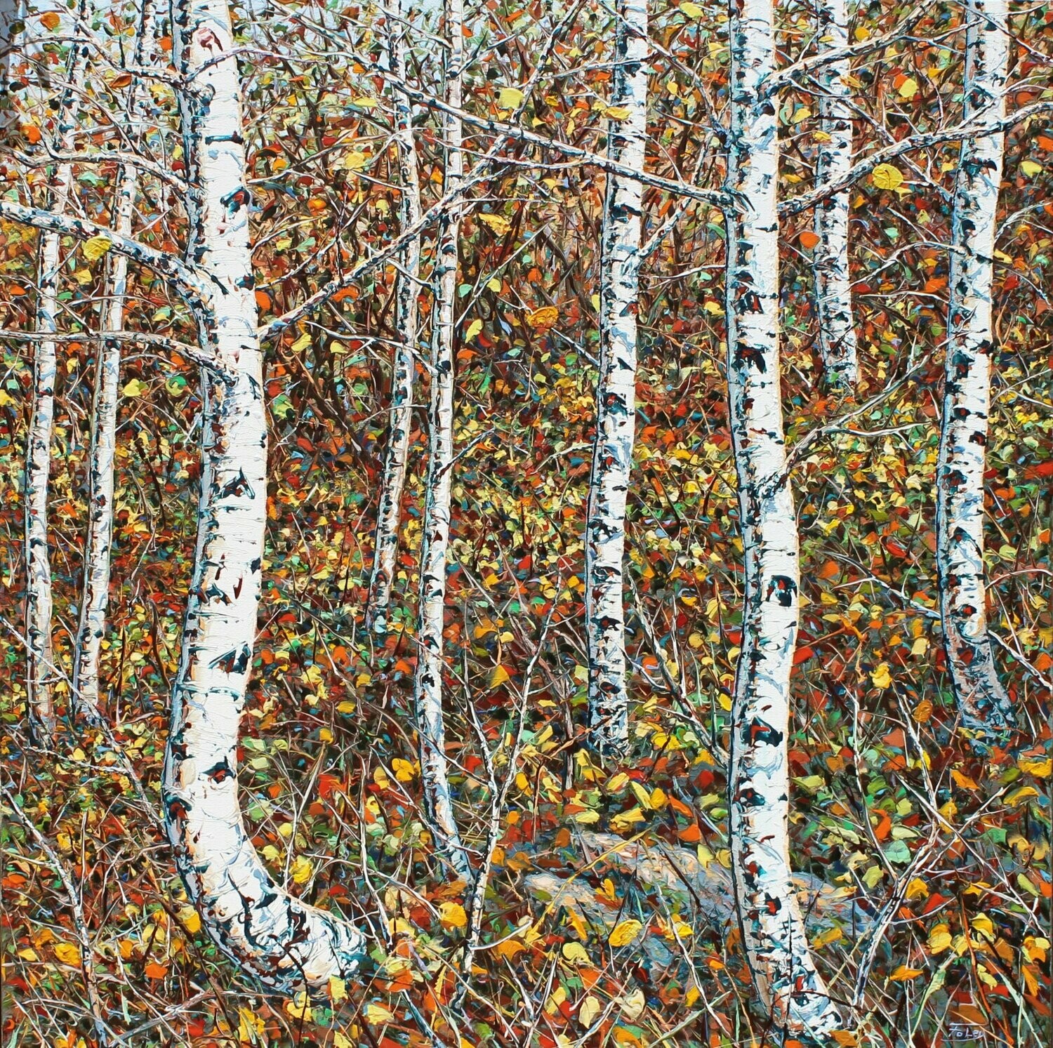 Iteration Understory 40