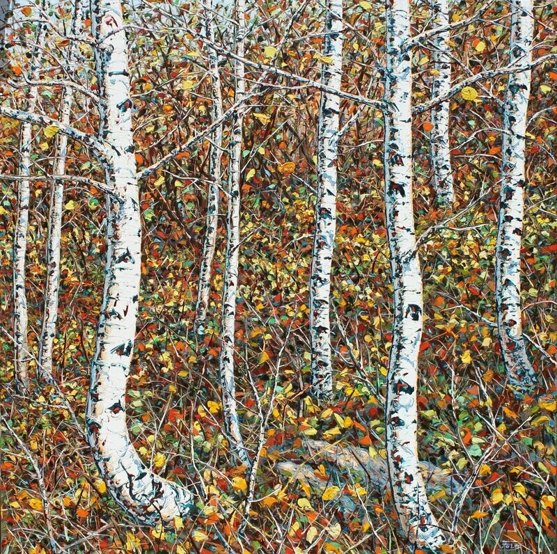 Iteration Understory 40