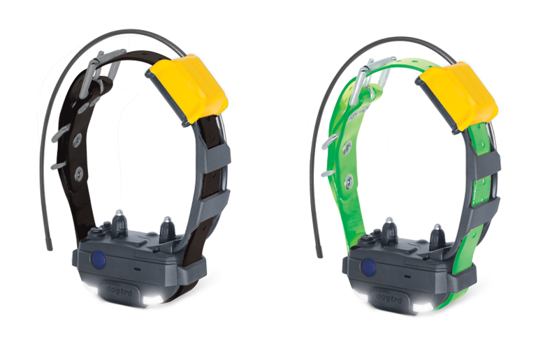 Pathfinder 2 mini Track and Train collar