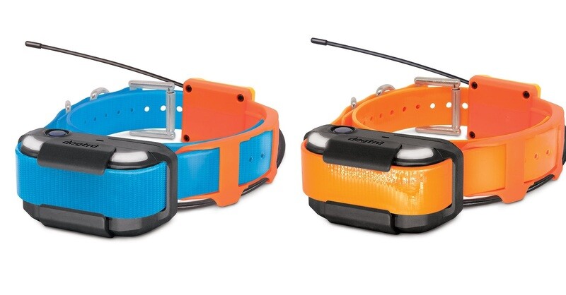 Pathfinder 2 TRX collar
