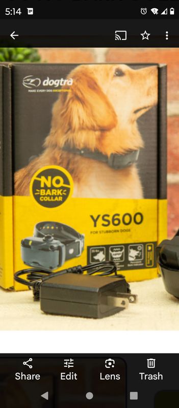 dogtra ys 600 no bark
