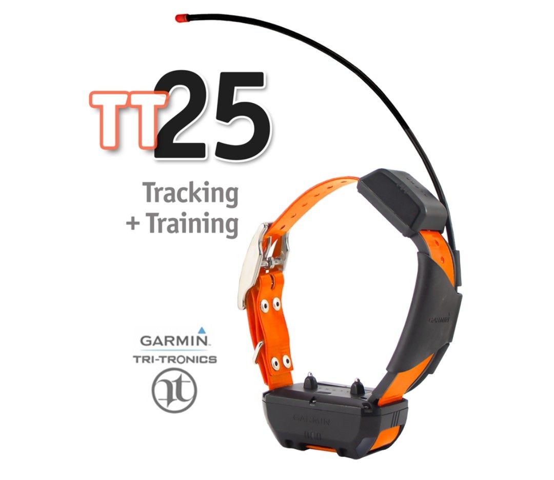 TT25