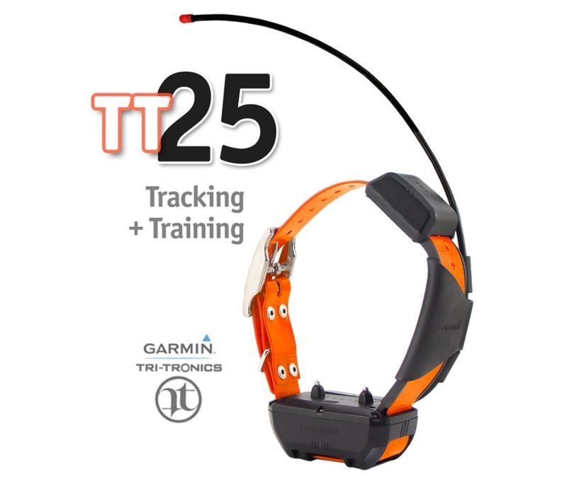 TT25