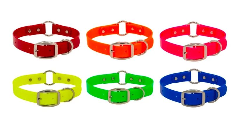 1 Inch  Dayglo Collar