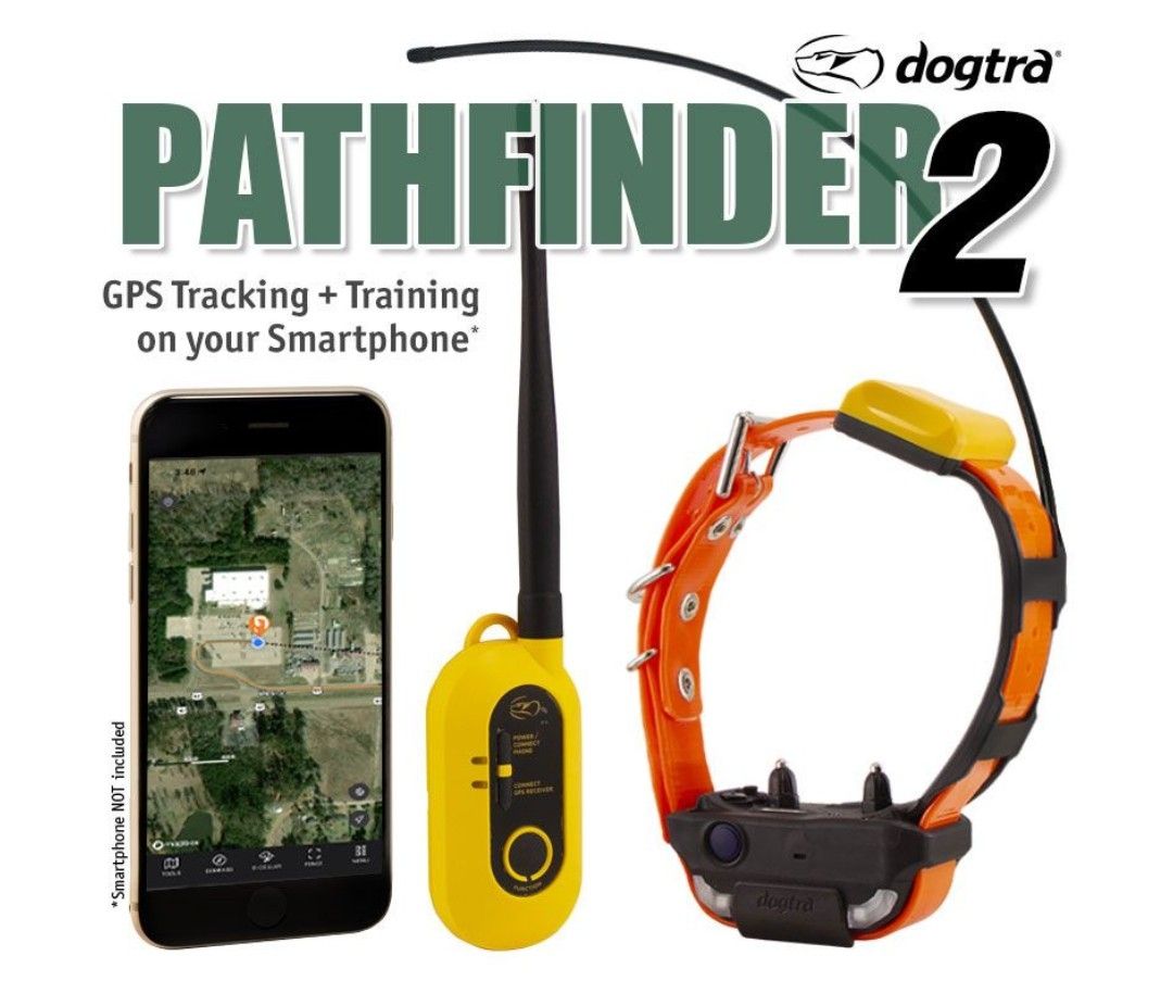 PATHFINDER 2 GPS + E-COLLAR COMBO 