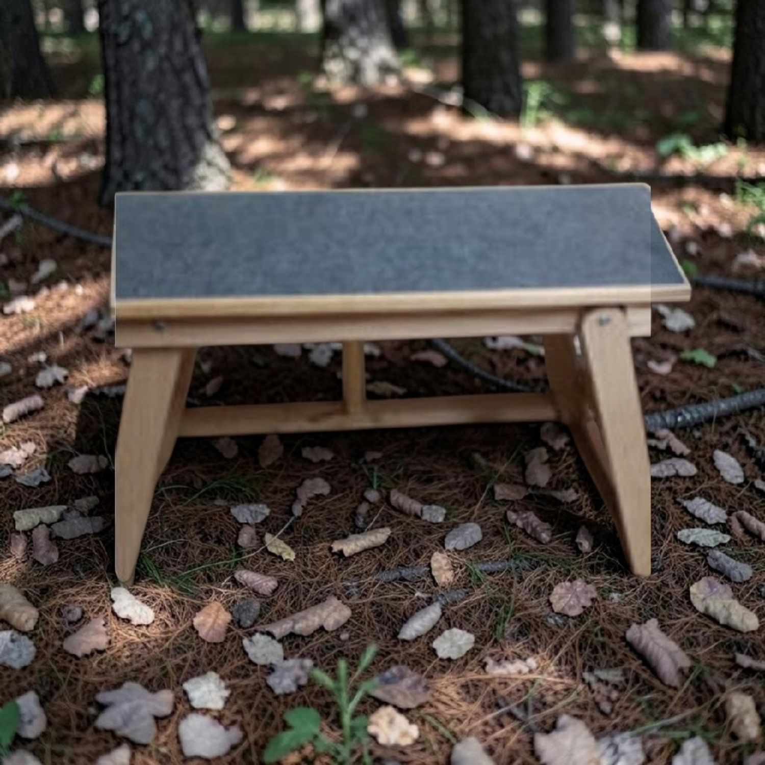 SHOW BENCH
