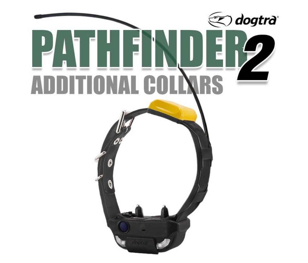PATHFINDER 2 ADDITIONAL GPS COLLAR