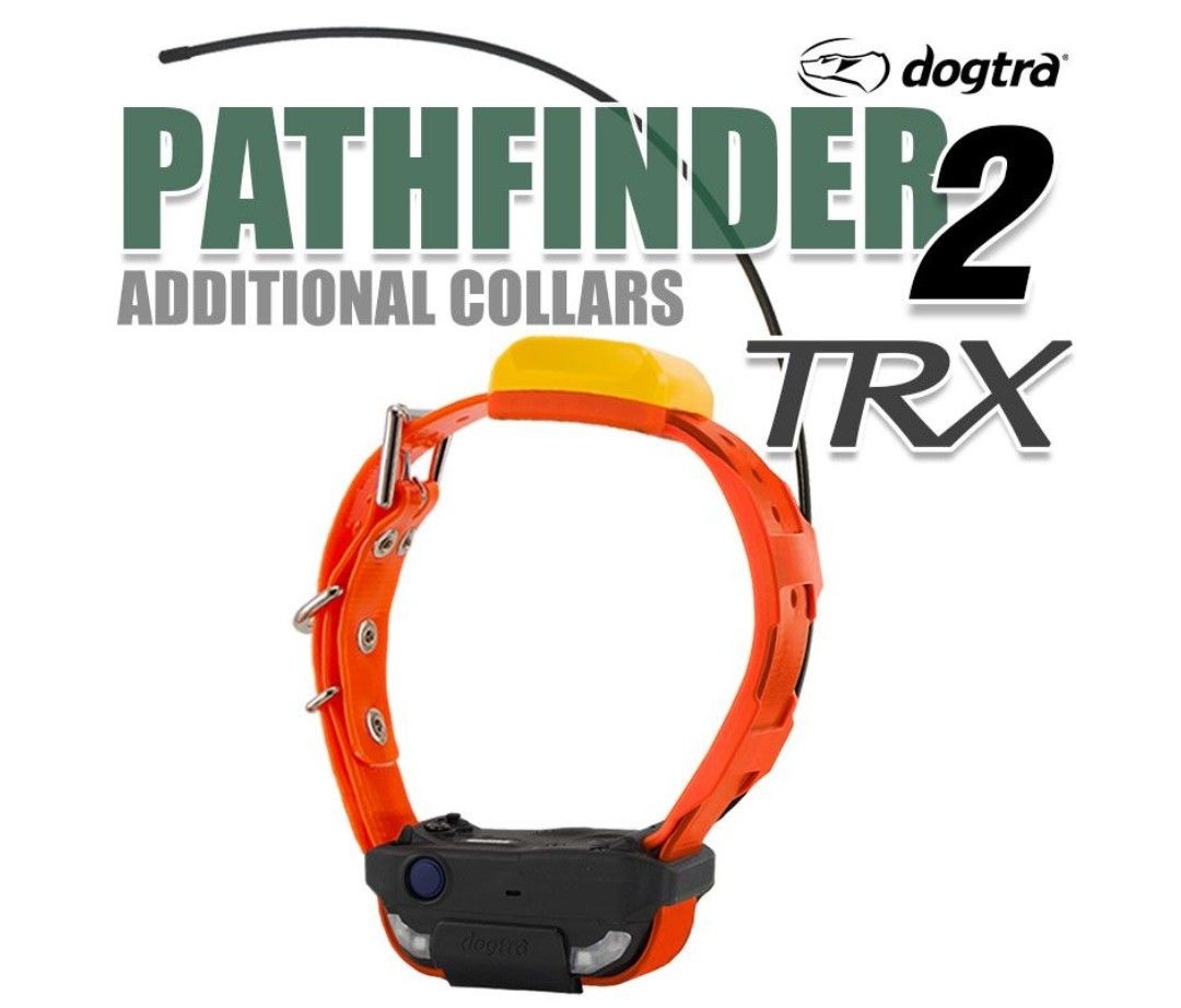 PATHFINDER TRX ADDITIONAL GPS-ONLY COLLAR