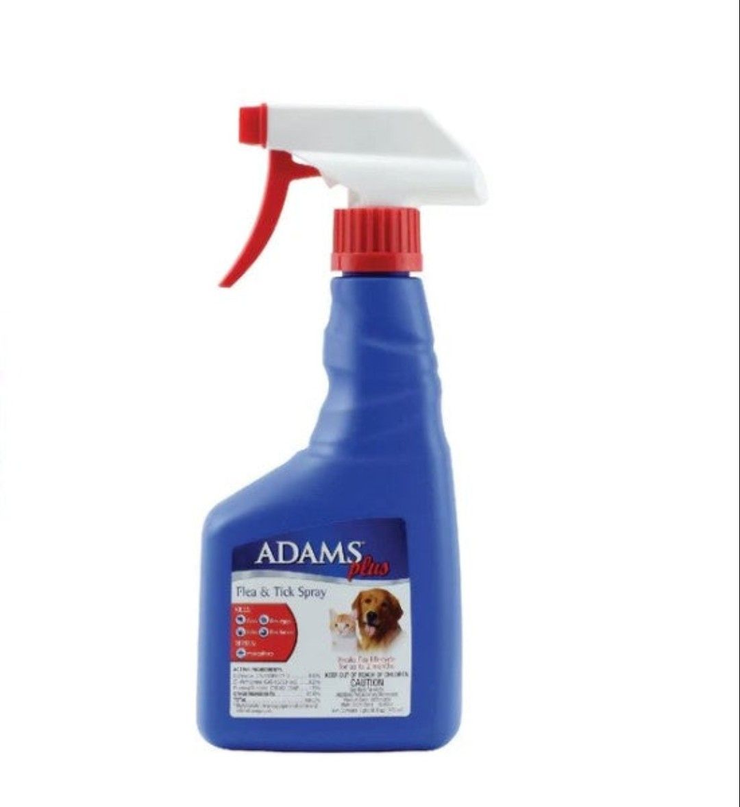 ADAM'S PLUS