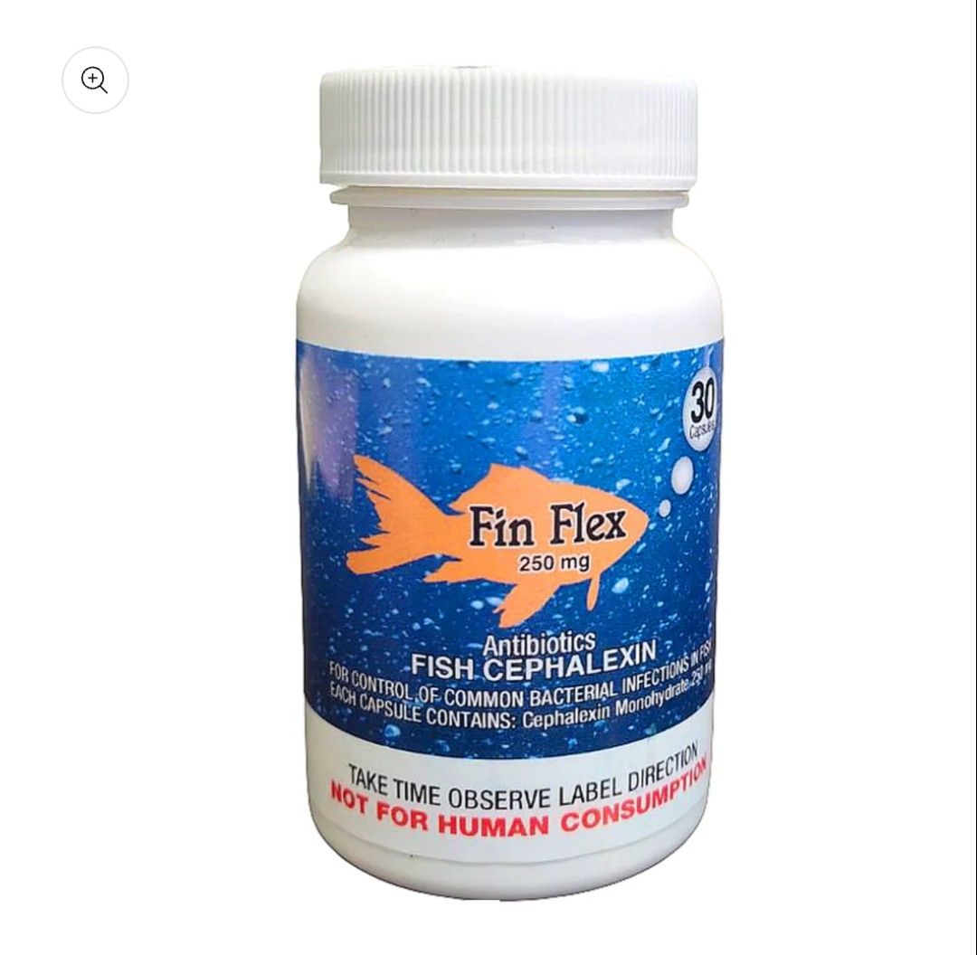 FISH CEPHALECIN