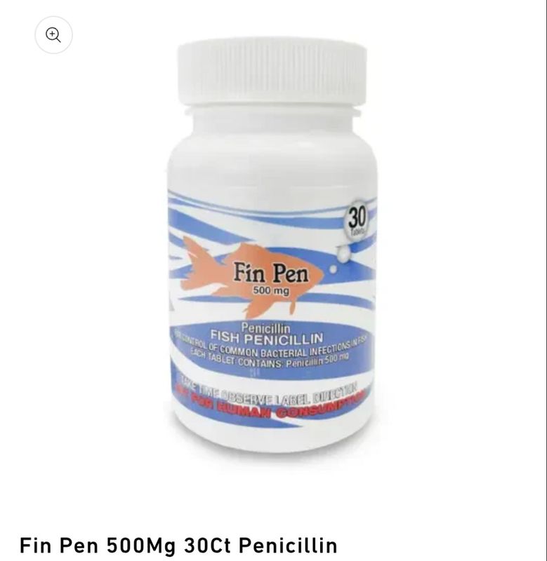 FISH PENICILLIN