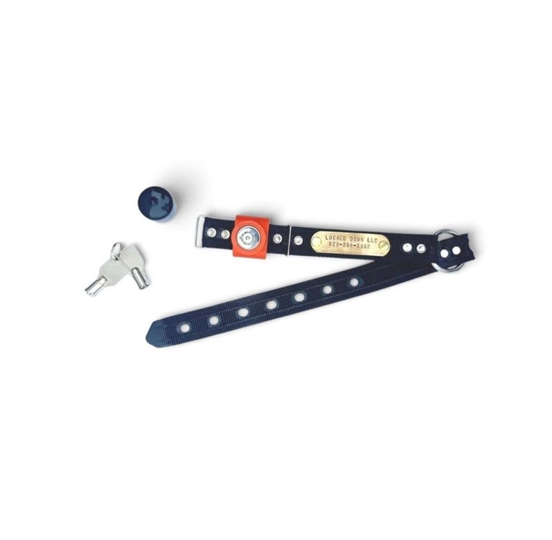 LOCKED DOWN LEASH COLLAR
