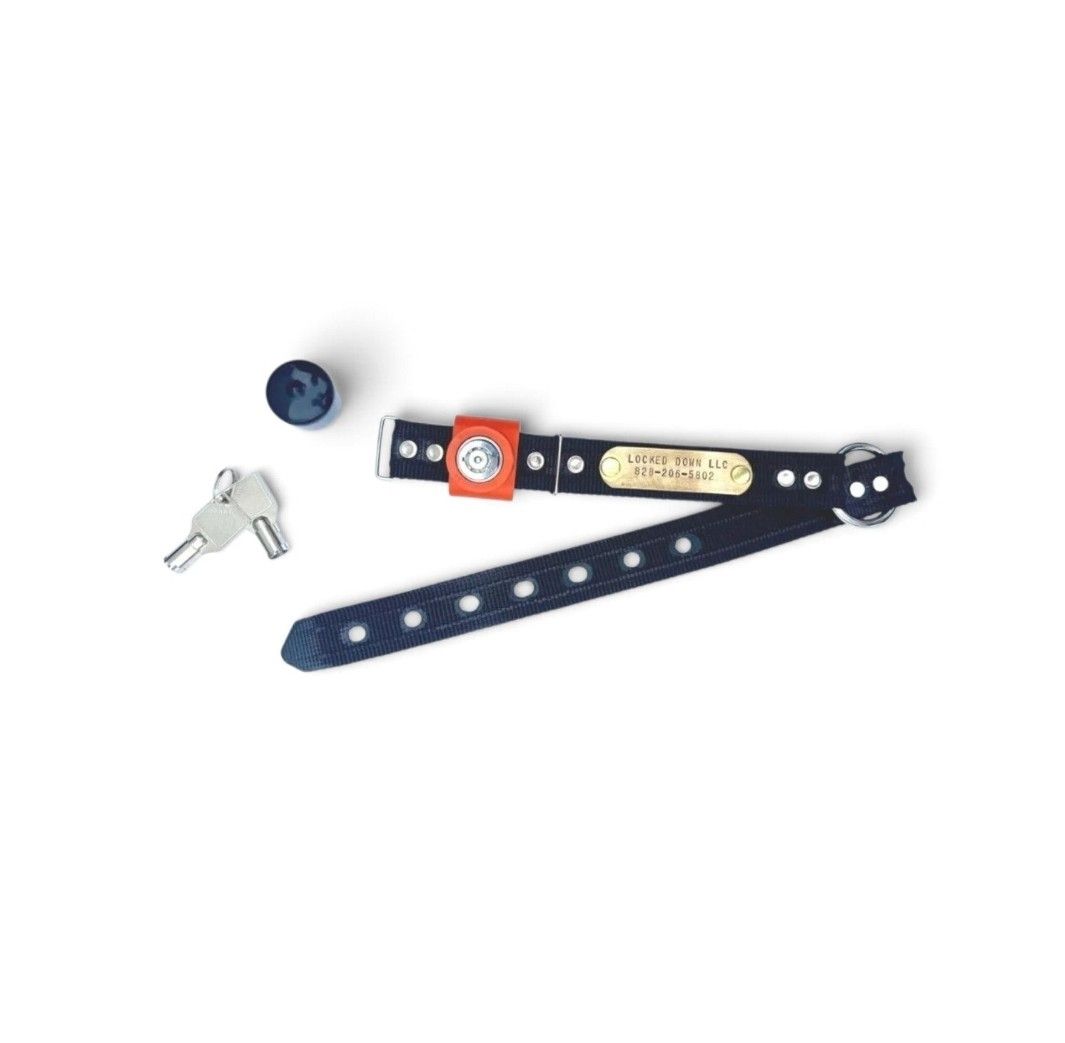 LOCKED DOWN LEASH COLLAR LOCKED DOWN LEASH COLLAR