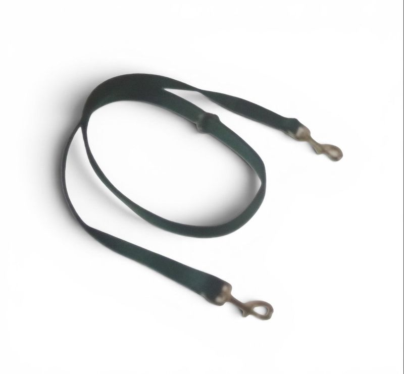 1" WIDE NYLON LEAD WITH CENTER RING &amp;2 SNAPS(STRAIGHT OR WITH CHAIN)