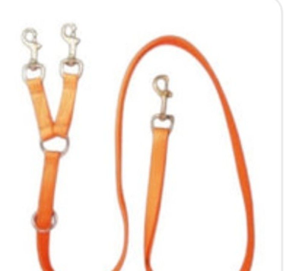3/4" WIDE NYLON LEAD, CENTER RING 2 SNAPS ( DOUBLE OR TRIPLE)
