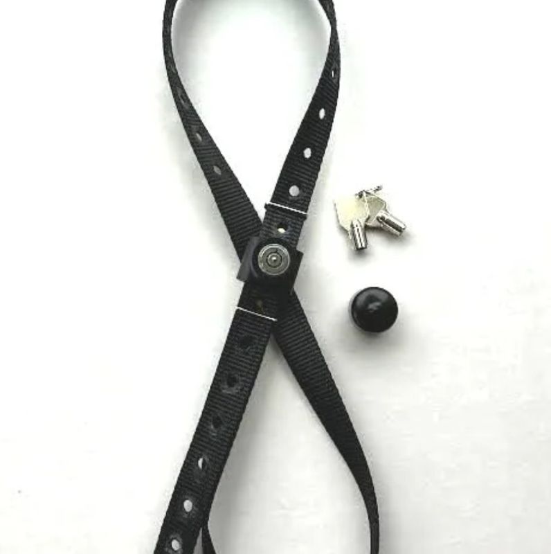LOCKED DOWN LARGE 4" STRAP