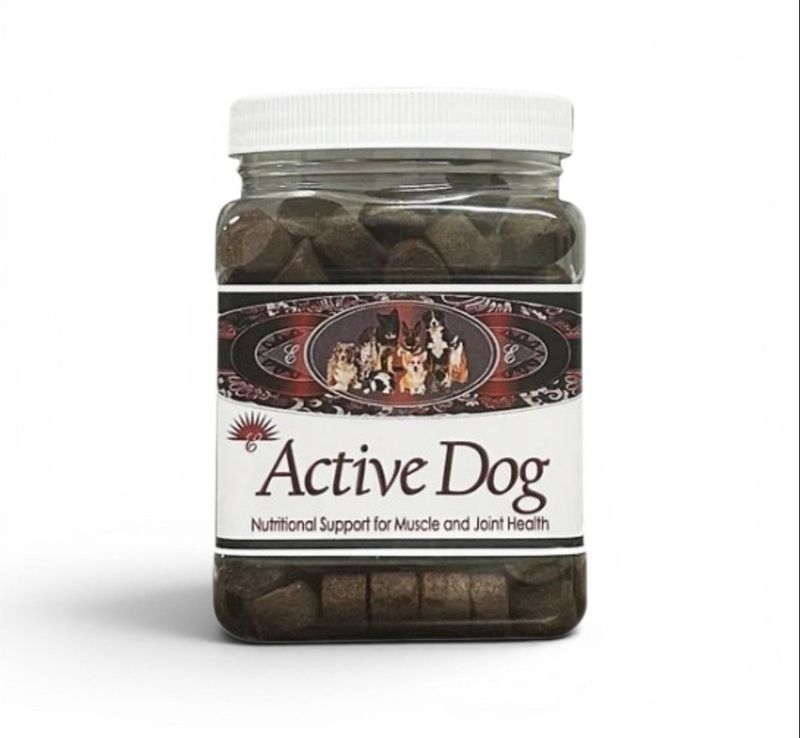 ACTIVE DOG