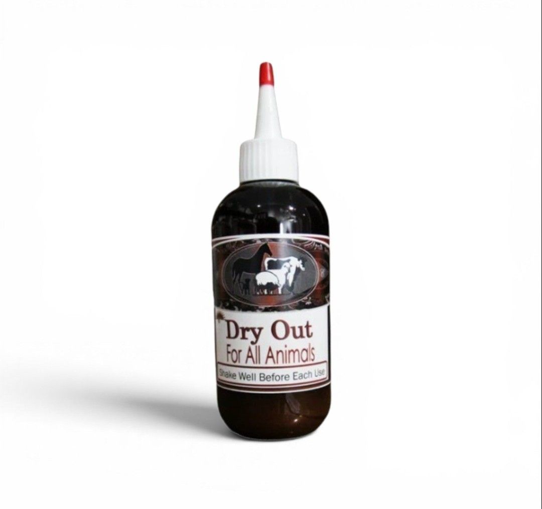 DRY OUT