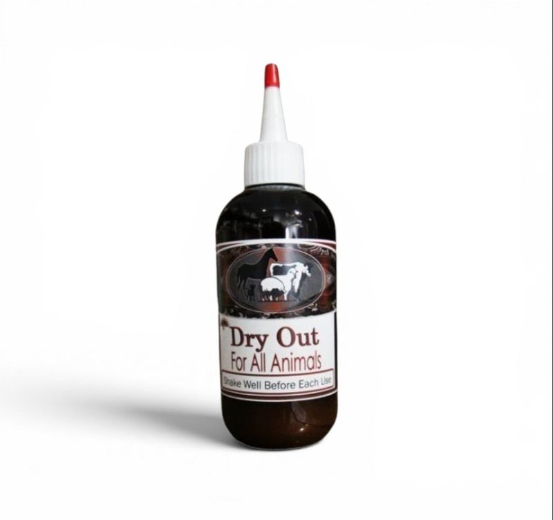 DRY OUT