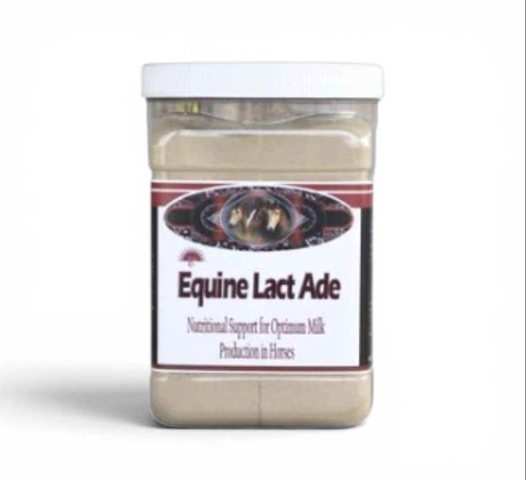 EQUINE LACT AID