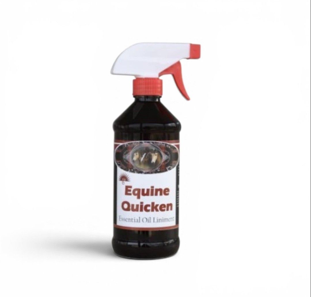 EQUINE QUICKEN