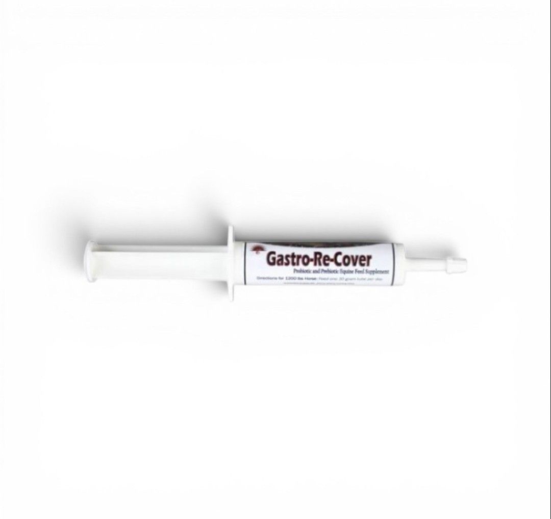 EQUINE GASTRO RECOVERY