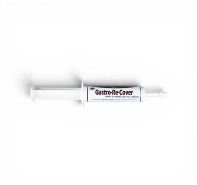 EQUINE GASTRO RECOVERY