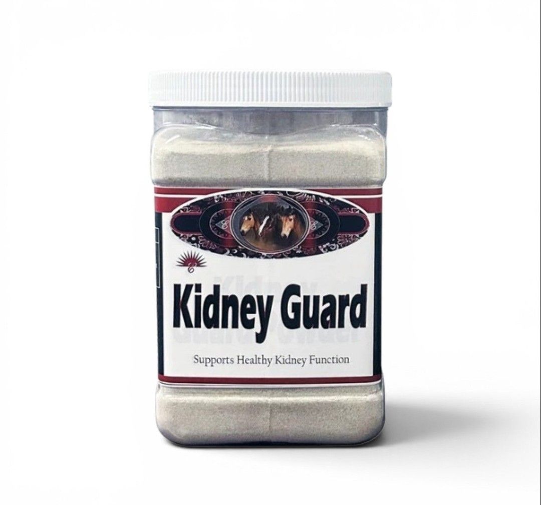 KIDNEY GUARD