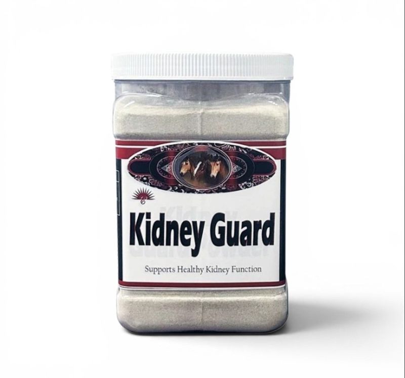KIDNEY GUARD