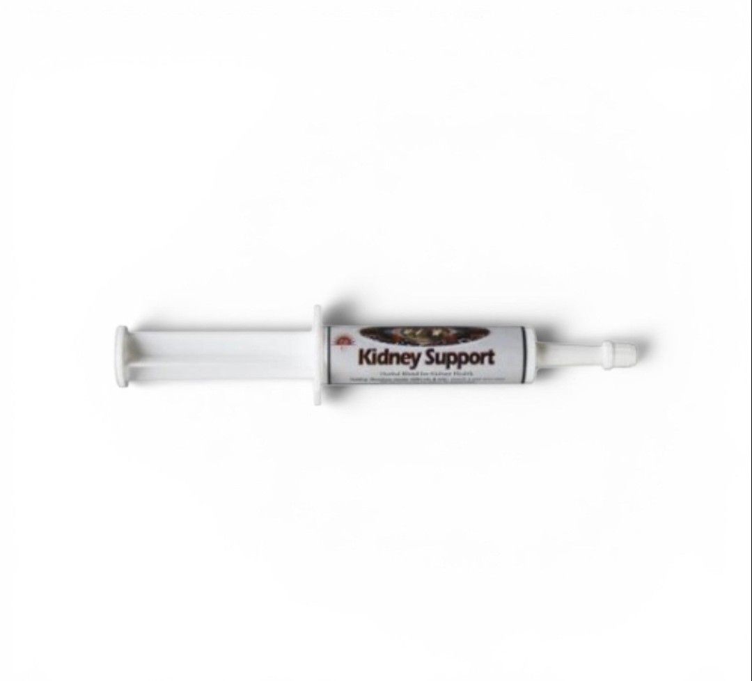 KIDNEY SUPPORT PASTE
