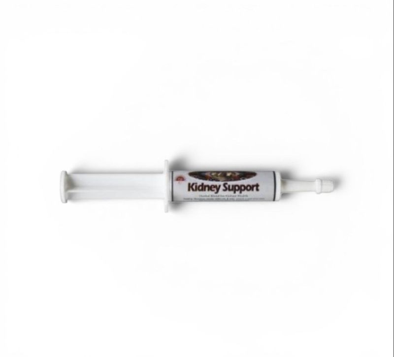 KIDNEY SUPPORT PASTE