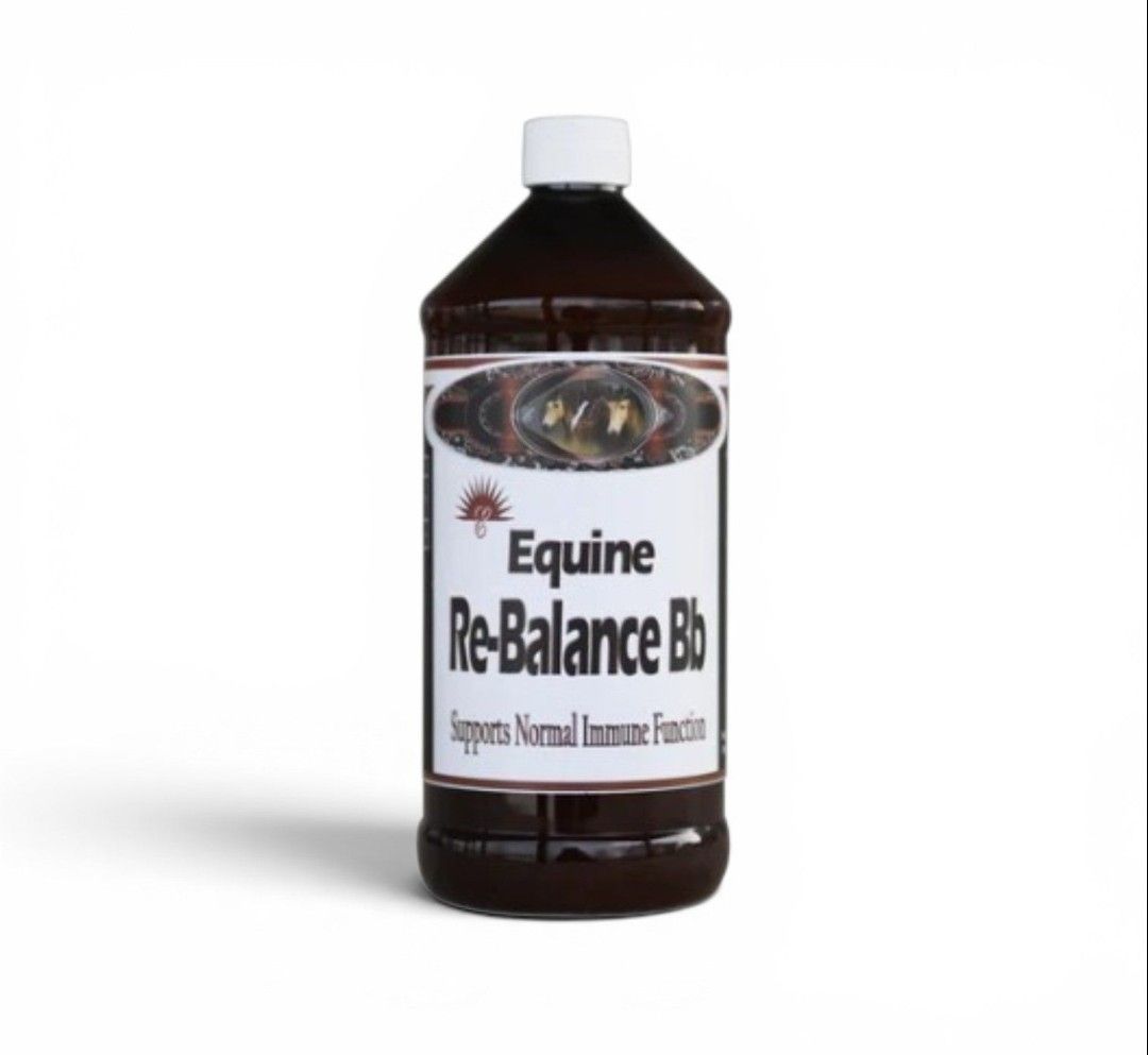 RE-BALANCE Bb