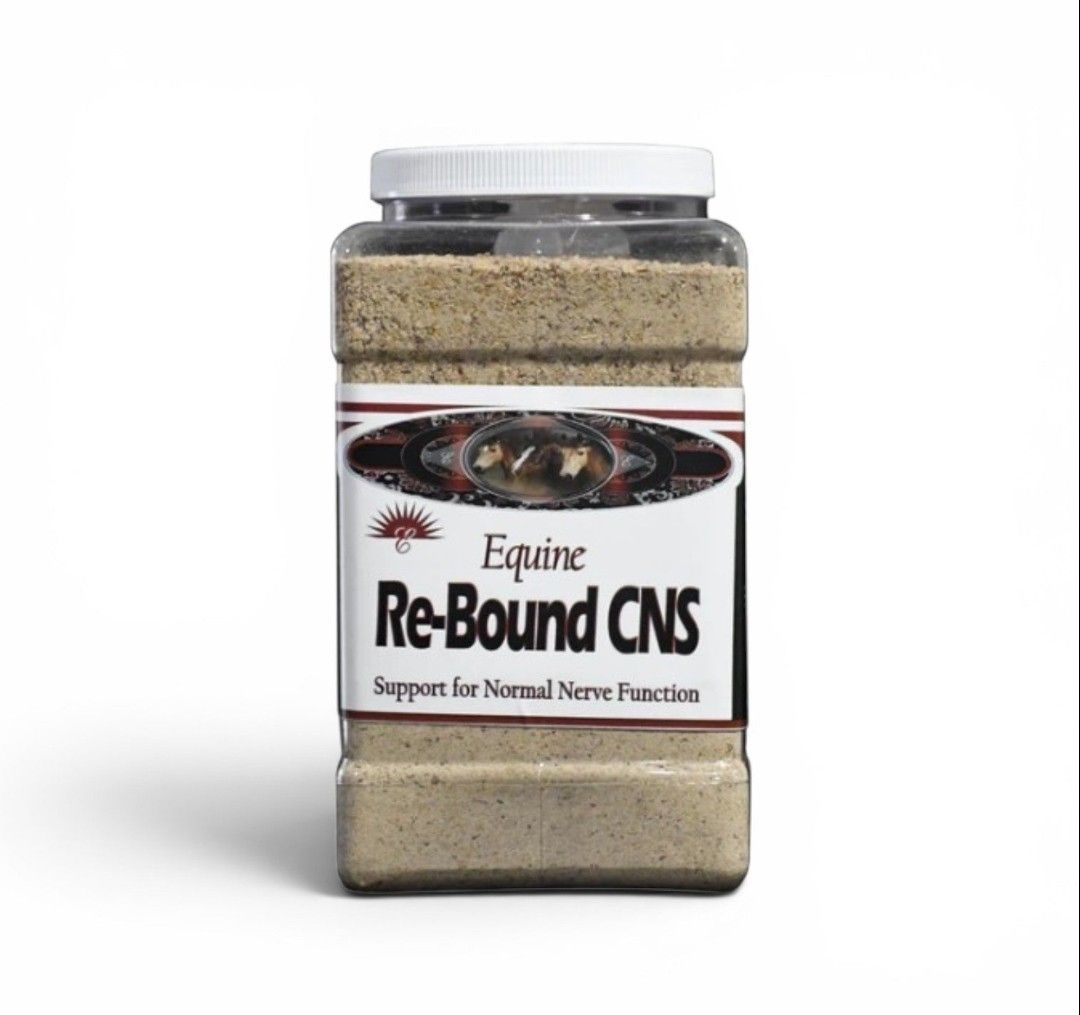 RE-BOUND CNS