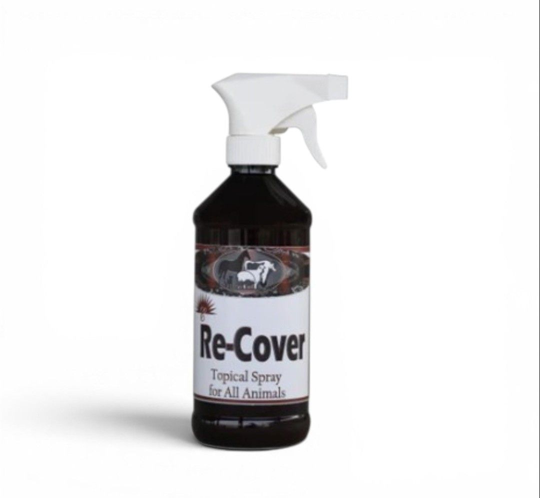 RE-COVER