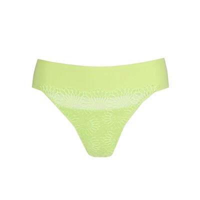 String 0663181 Lime crush PrimaDonna Sophora