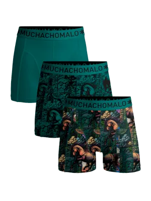 Men 3-Pack Boxer Shorts Print/Print/Green Men 3-Pack Boxer Shorts Print/Print/Green
