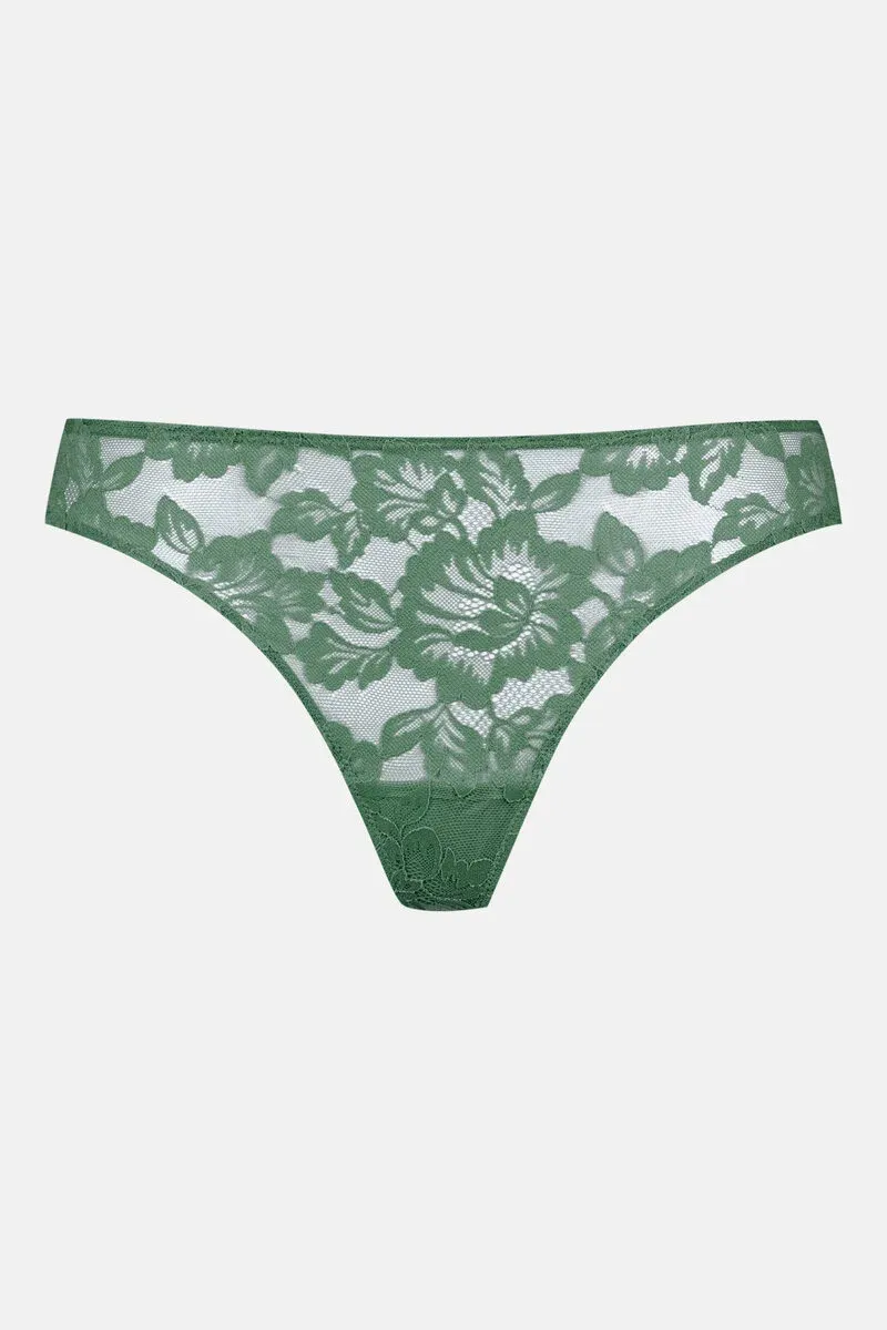 String 79236 Peat Moss Mey String 79236 Peat Moss Mey