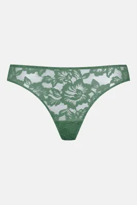 String 79236 Peat Moss Mey