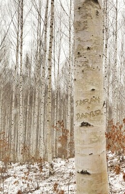 Couple's Names Carved Into Tree 11x17