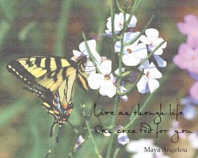 Live As Though Life Was Created For You - Butterfly Photo 8"x10"