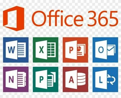 MSP - Microsoft Office 365 Basic / Month