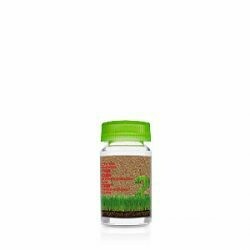 Ampollas Anticaida Biokera 6x10ml Salerm