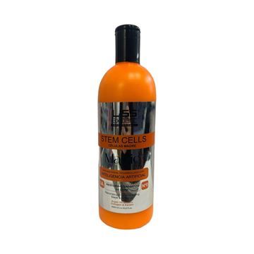 Shampoo Liss expert Magic mask Celulas Madres 1000ml